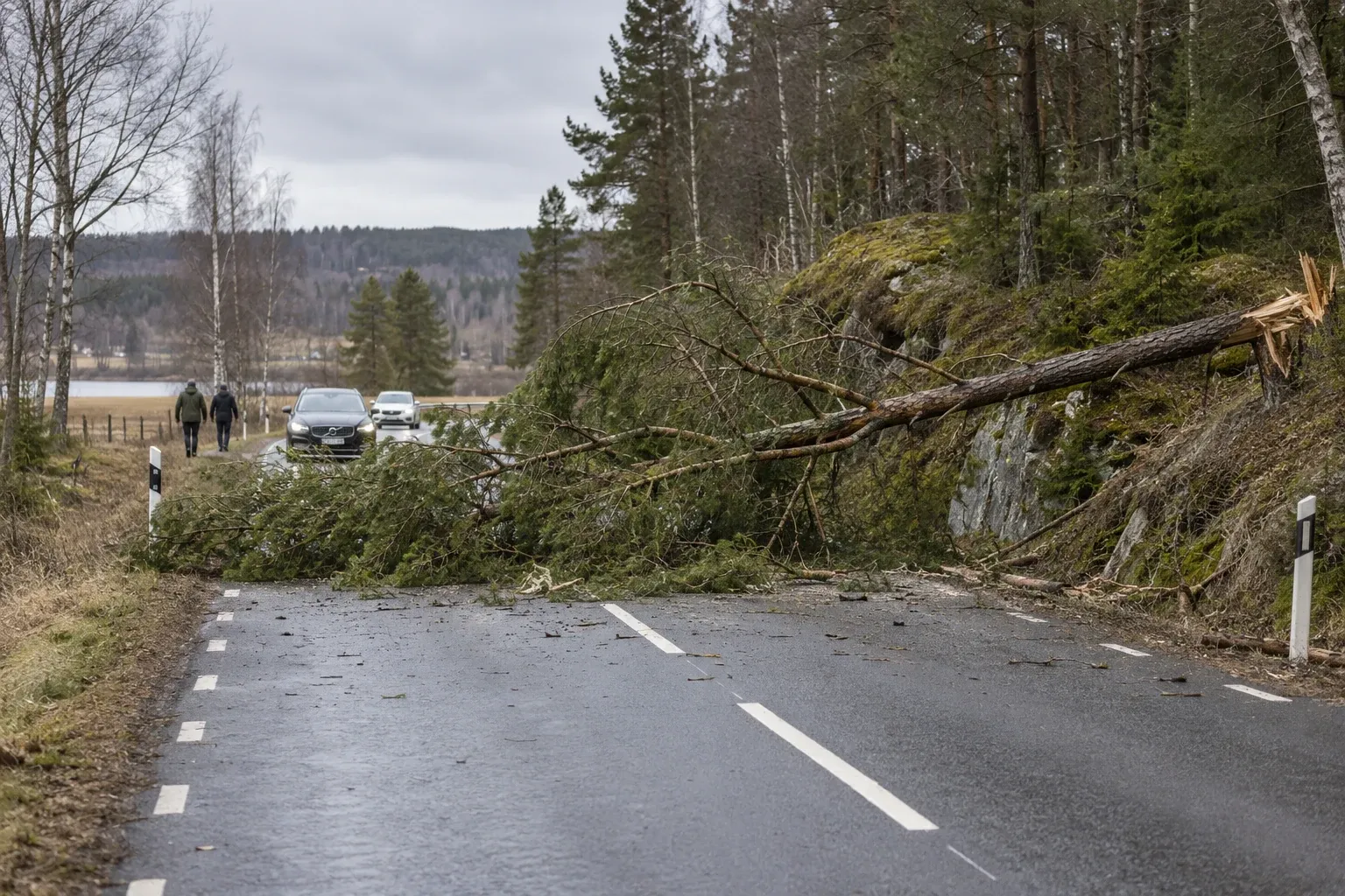 Träd hindrar trafiken på väg 602 vid Ämthyttan